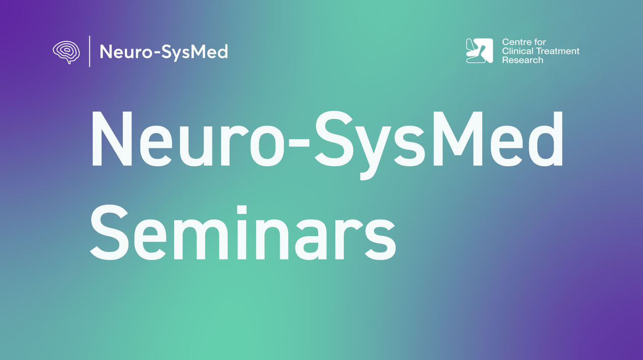 Logo for Neuro-SysMed Annual Seminars