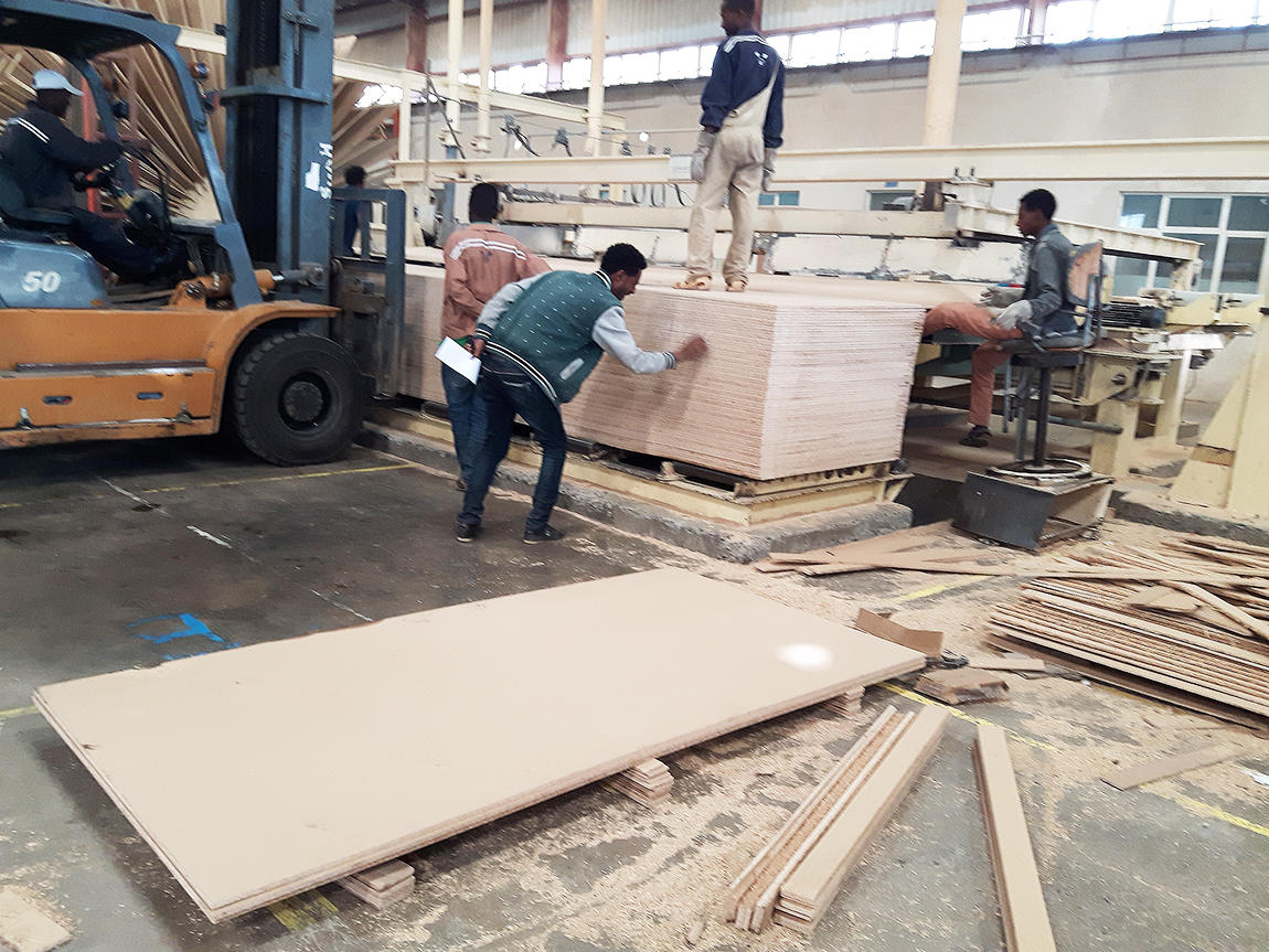 Particleboard factory in Ethiopia