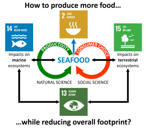 Illustration: How to produce more food while reducing overall footprint