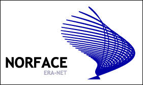 Norface logo