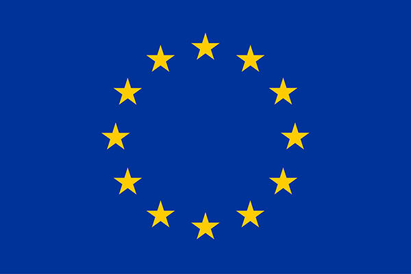 The EU Flag