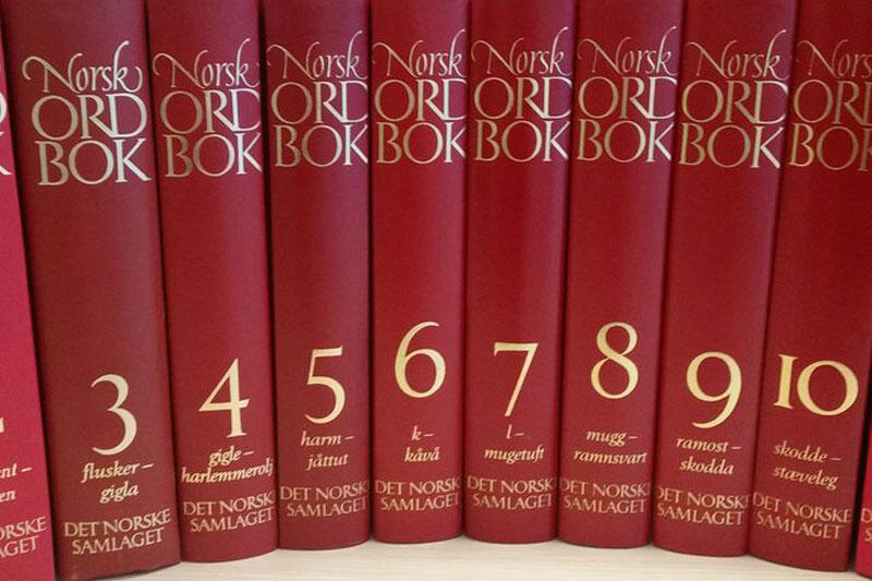 Norsk Ordbok 12 bind
