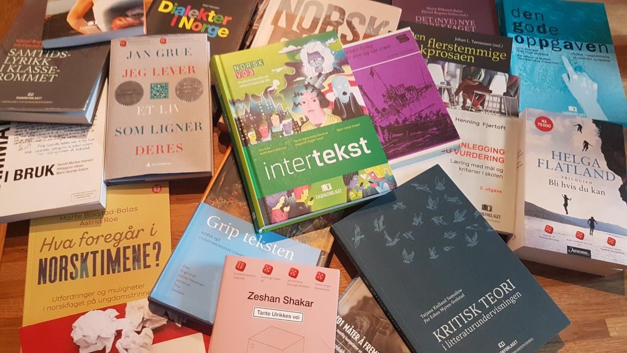 Utvalg norskdidaktiske bøker