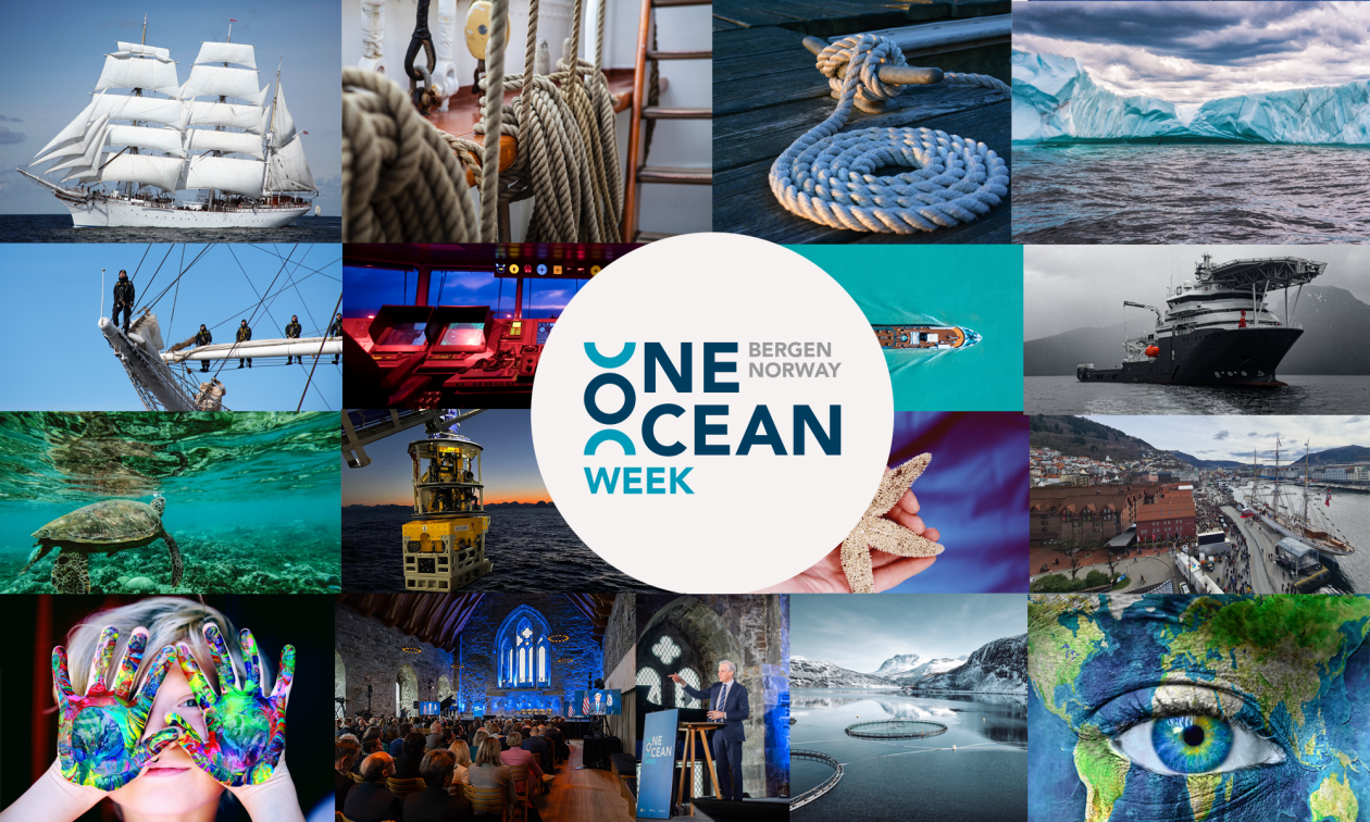 Bildemontasje for One Ocean Week, med flere havrelaterte bilder