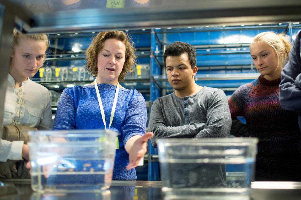 Tre studenter og en faglig ansatt ser på prøver i et laboratorium. Bildet er fra Åpen dag, som gjerne er det første møtet med høyere utdanning.