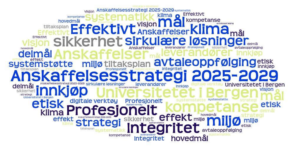 ordsky med nøkkelord om temaet anskaffelsesstrategi