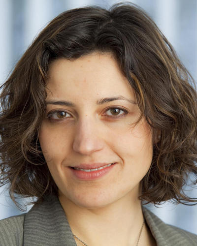 Førsteamanuensis II Özlem Bedre-Defolie