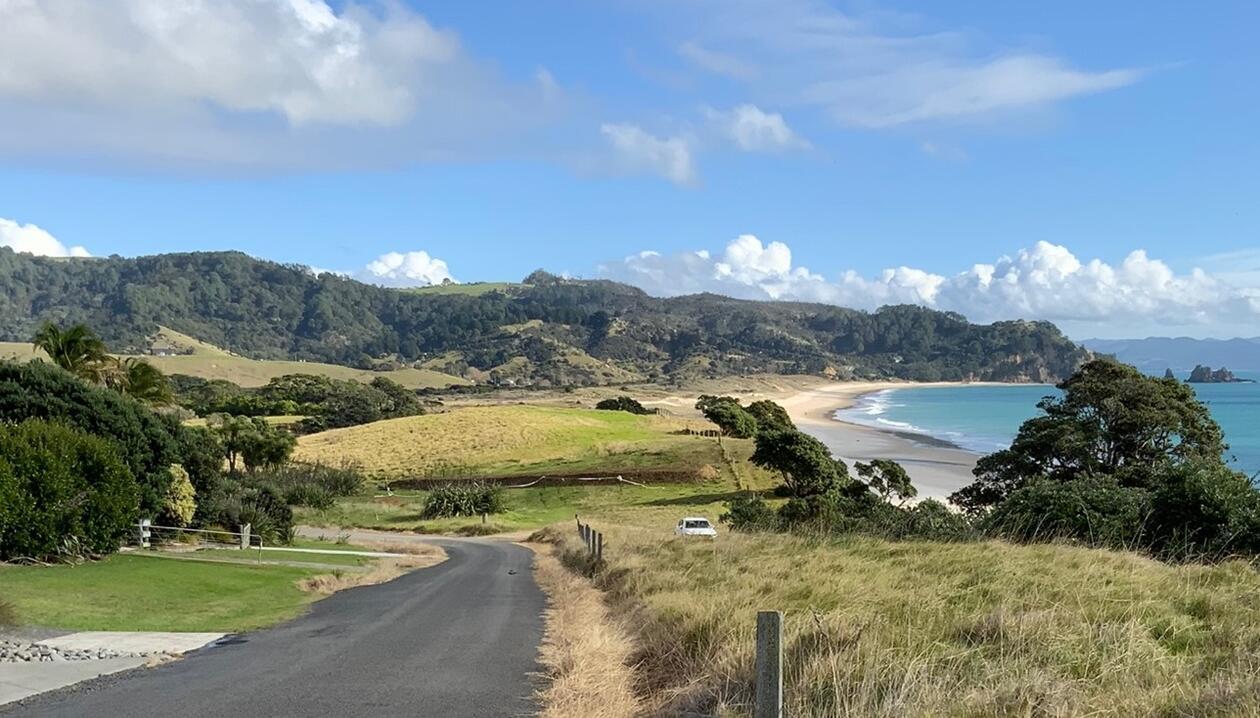 A road going through a green landscape, blue skies, a beach and blue sea