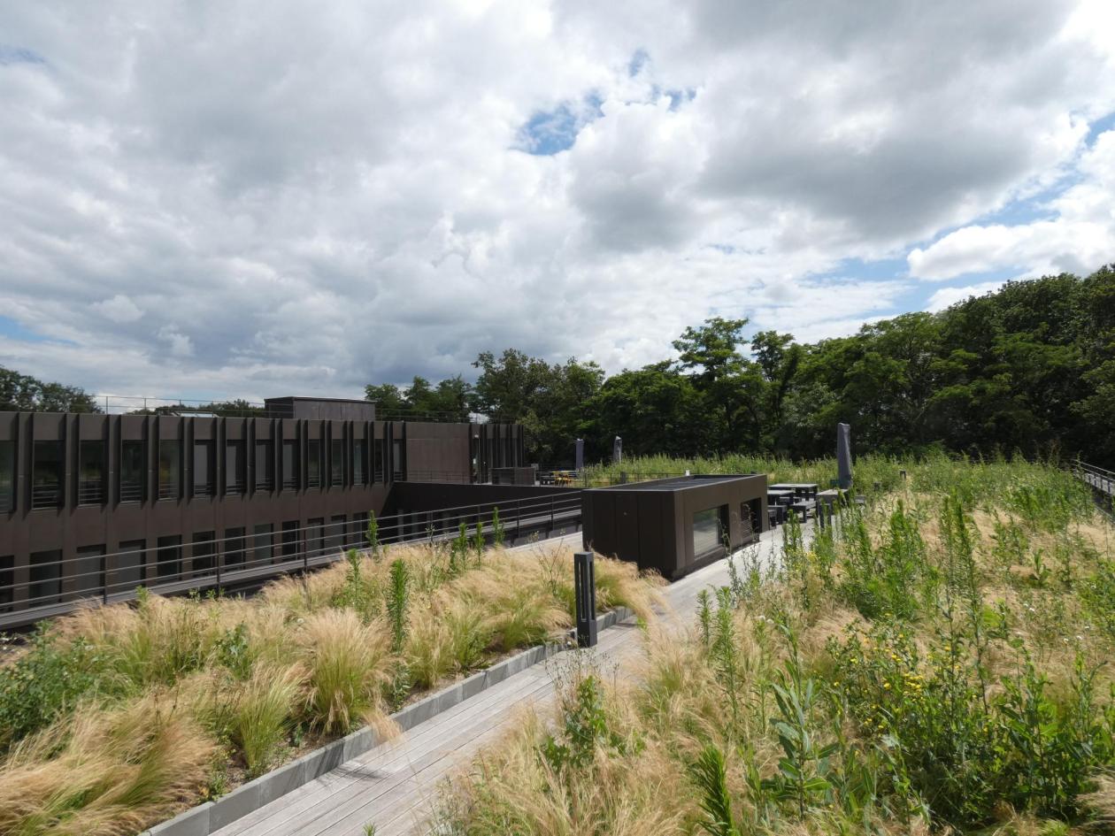 Institute Pascal outside