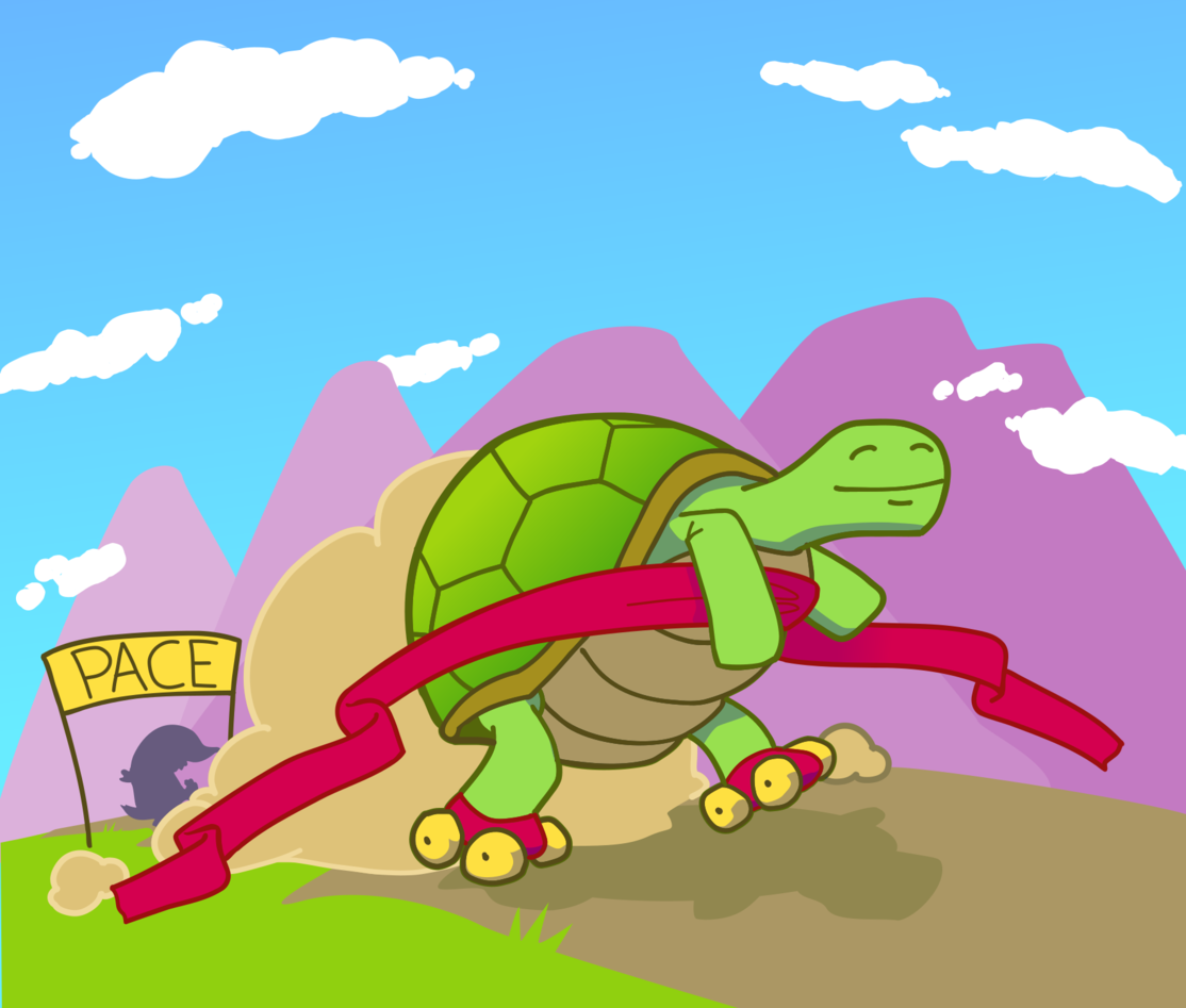 PACE turtle