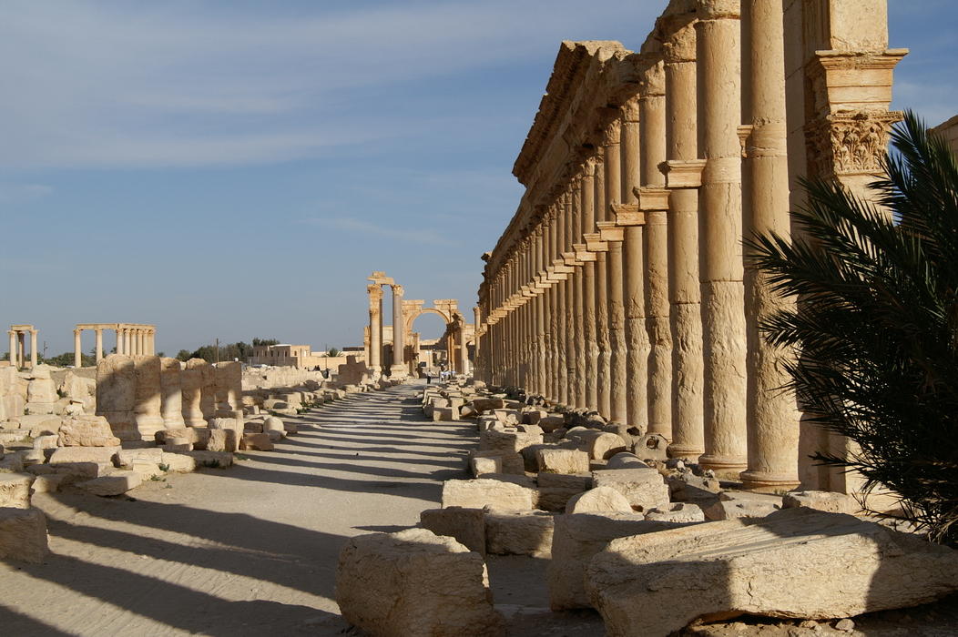 Bilde av Palmyra