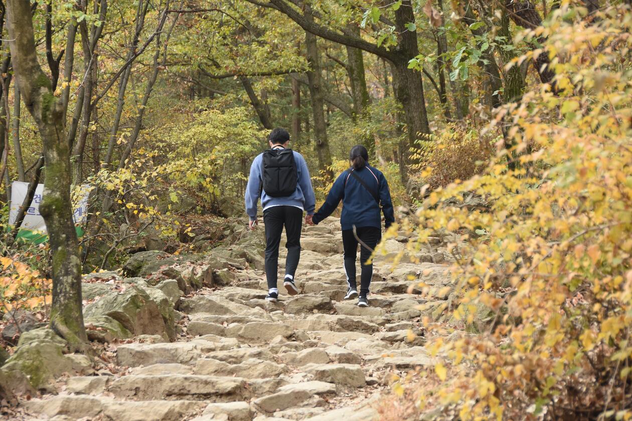 Couple walking in the forest