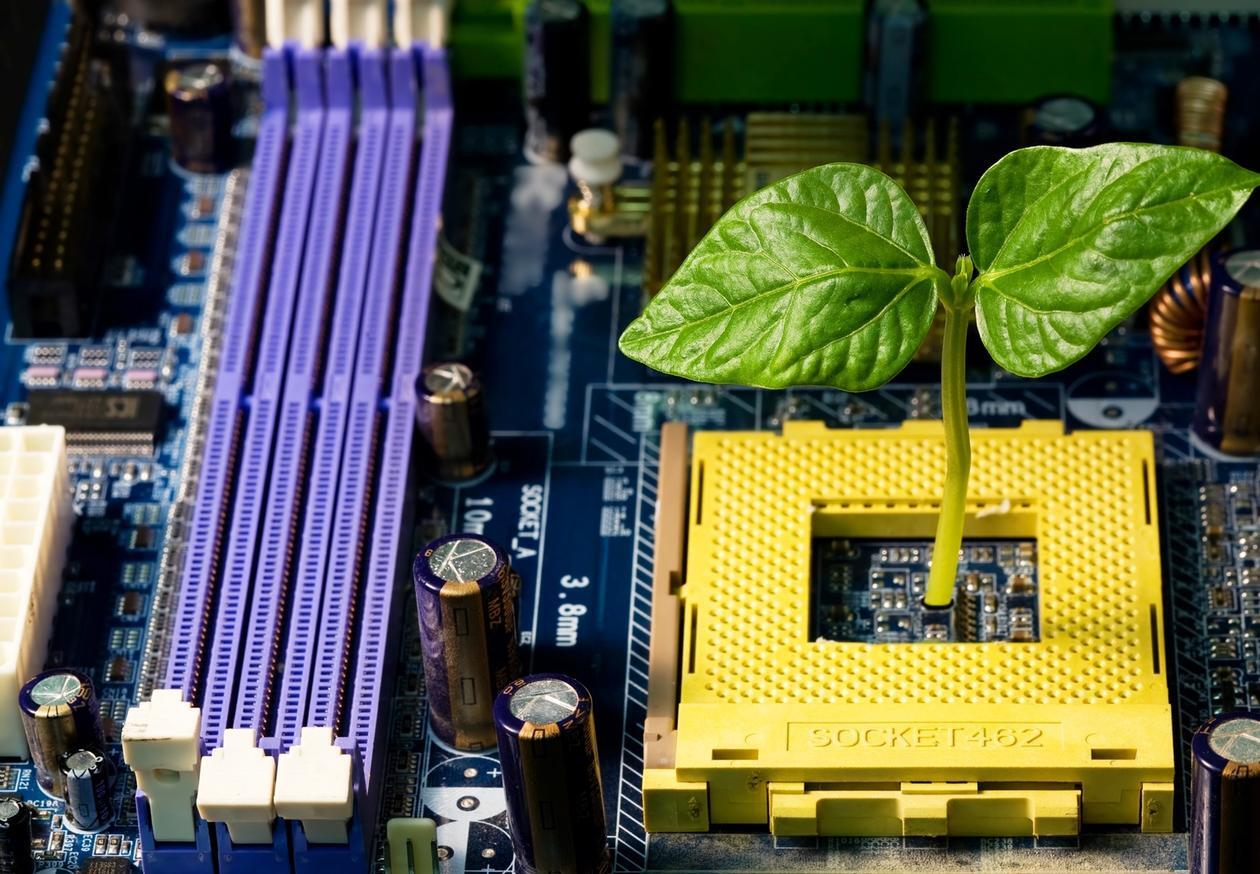 Computer components in purple and yellow, a leaf sticking up from the yellow  component