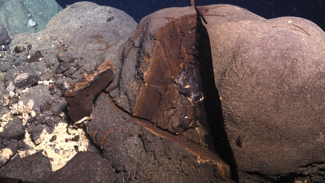 Senter for dyphavsforskning