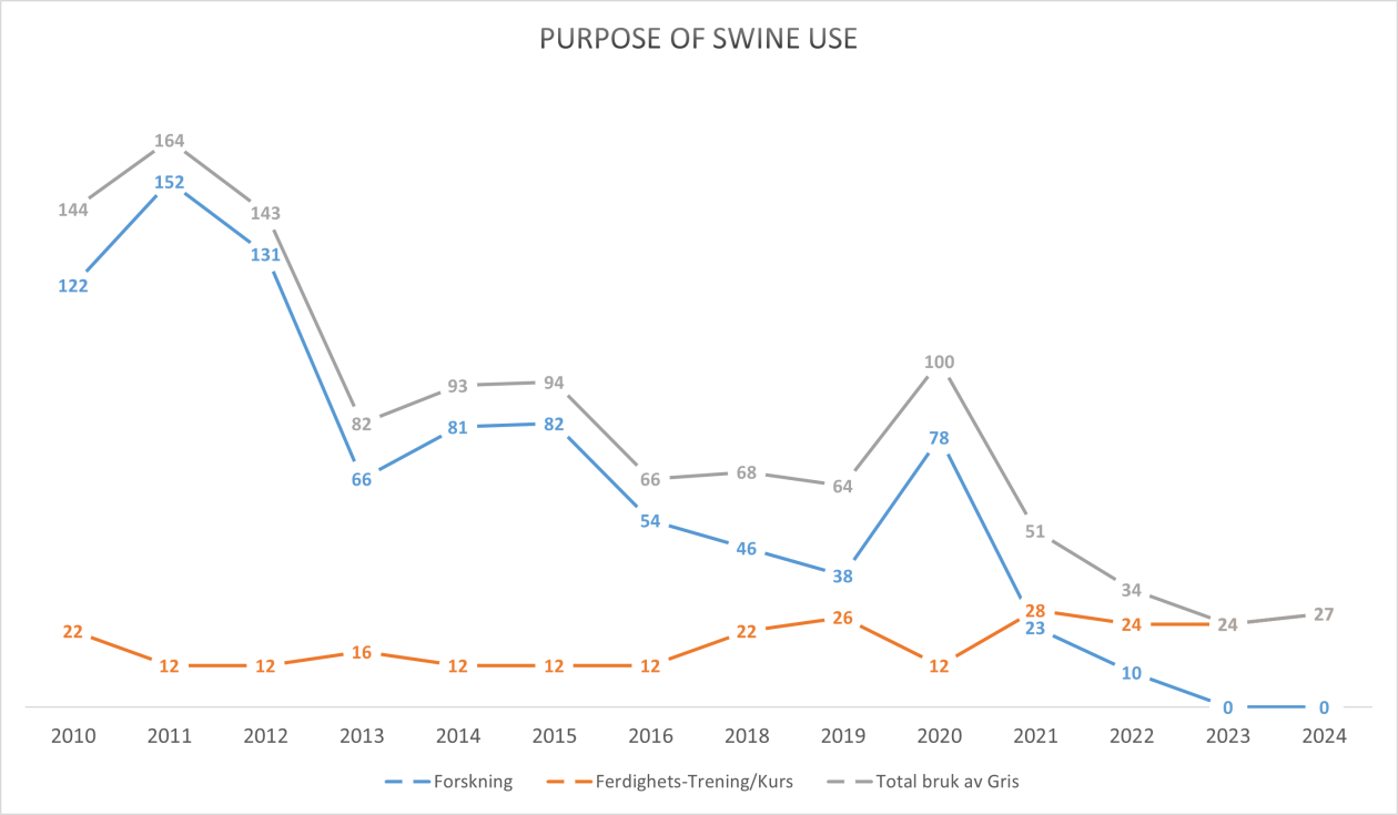 Bruk av griser i opplæring og forskning