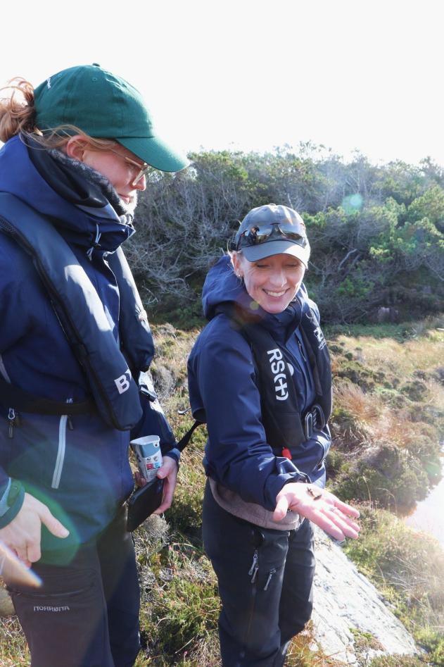 Plastrydding på Lisle Lyngøy 2025