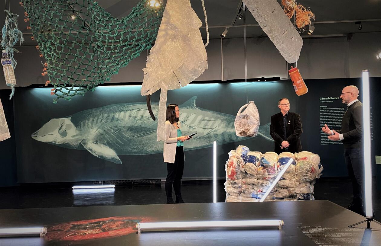 plasthvalen 4 år etter