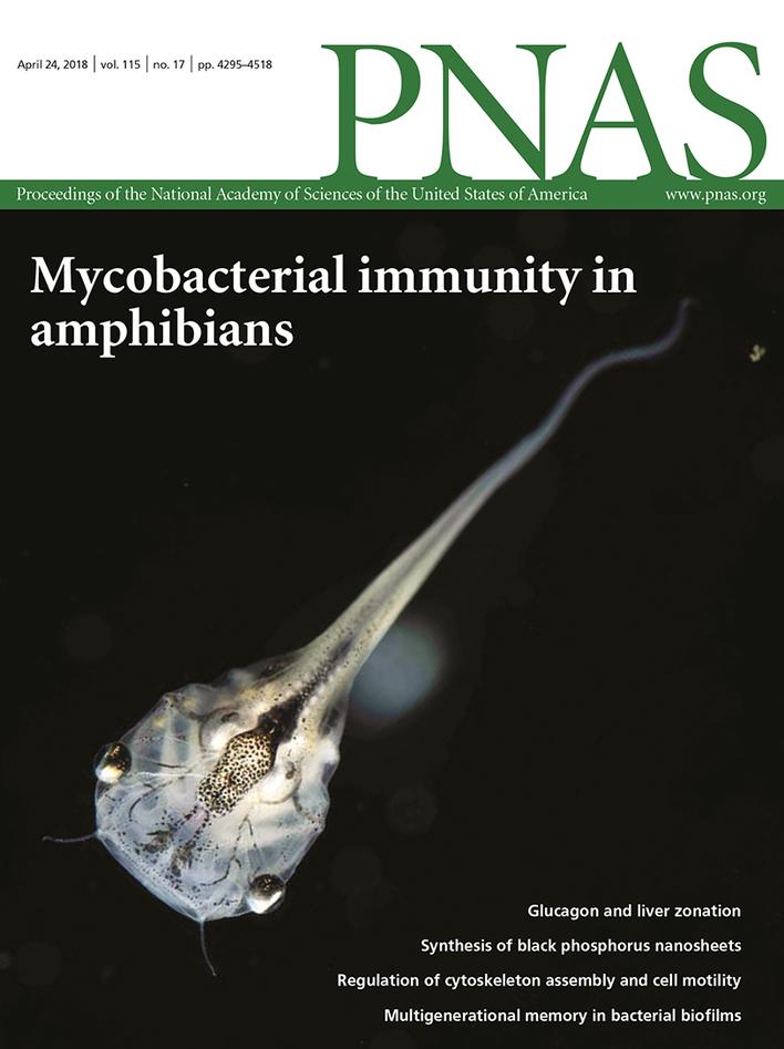 PNAS from the cover: Regulation of cytoskeleton assembly and cell motility