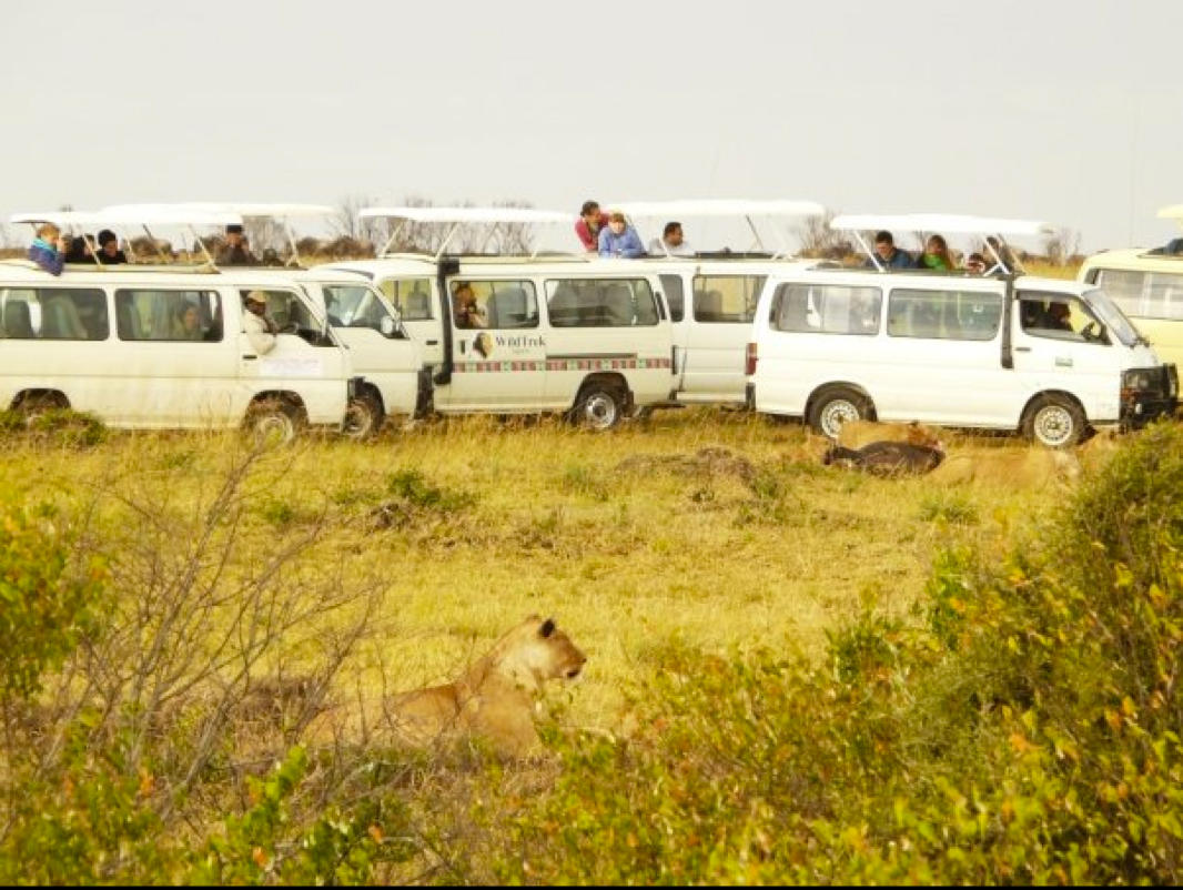 Ecotourism in Kenya.