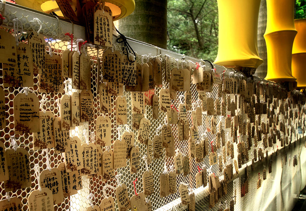 Axilera at English Wikipedia, CC BY-SA 3.0