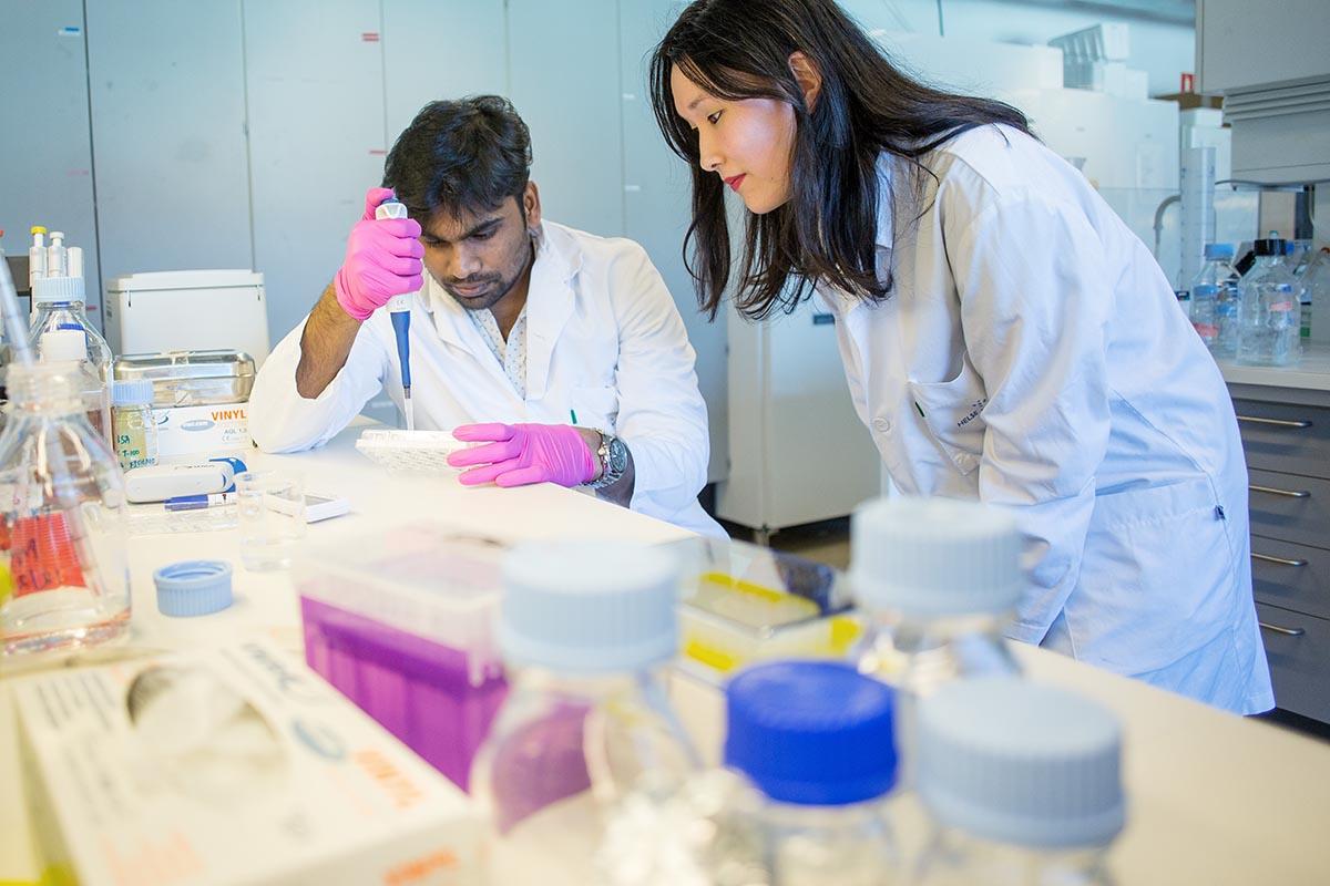 Bilde av to studenter som går profesjonsstudiet i medisin under arbeid på laboratoriet.