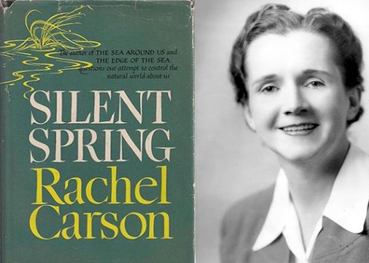 To the left: Book cover for Silent Spring: black, white and yellow text on dark green background and a yellow illustration. Left: Black-white picture of a woman with short hair, a white shirt and a dark jacket
