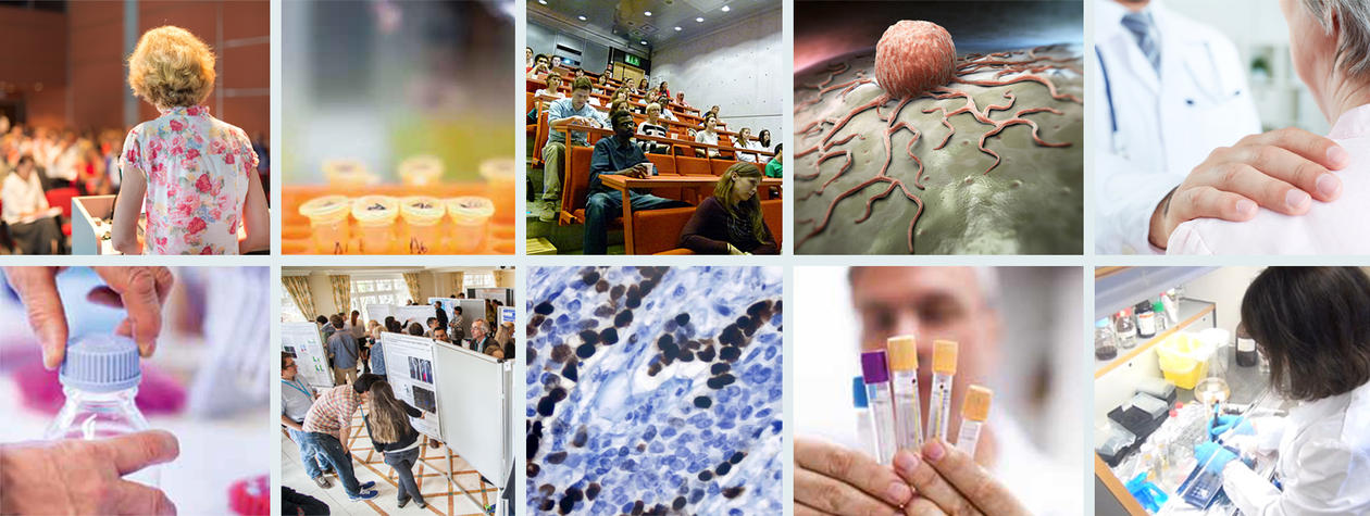 Photocollage of photos from CCBIO Research School situations (teaching, lab, microscope, doctor..)