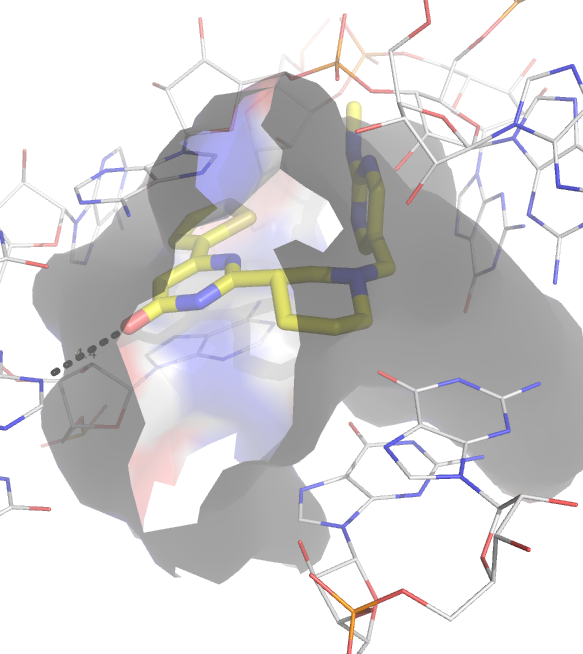 Ribocil bound to FMN riboswitch