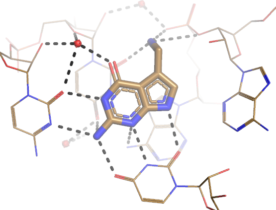 An RNA-ligand complex