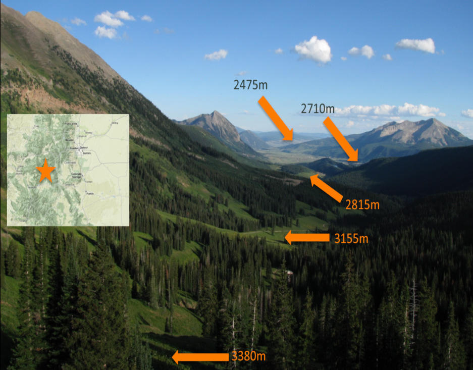 A view of the Rocky Mountains, Colorado with orange arrows marking the elevations of experimental sites and an inset map of western US