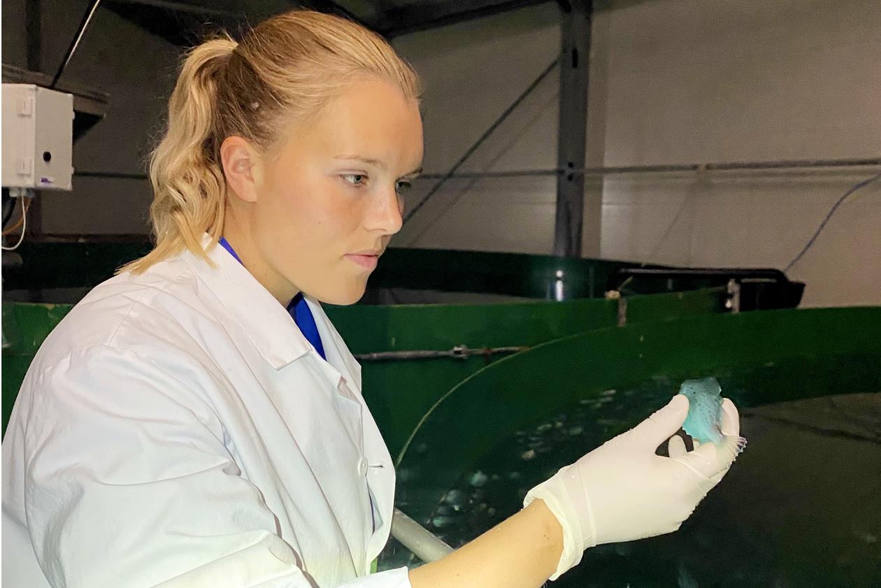 Anna Nygård Johansen og en rognkjeks