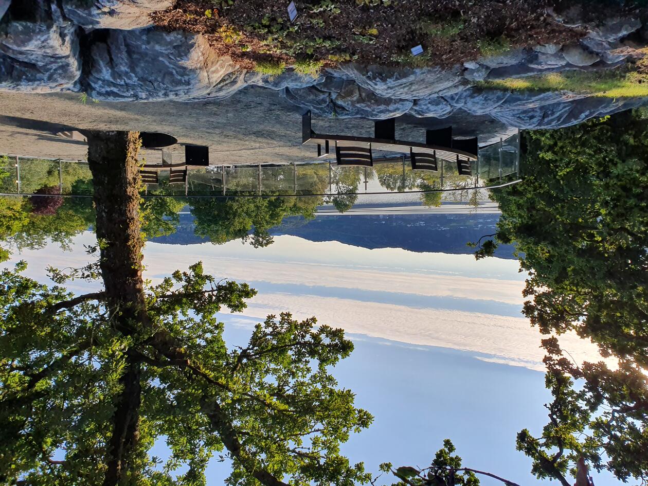 Oversiktsbilde av roseplattformen Per Haralds plass