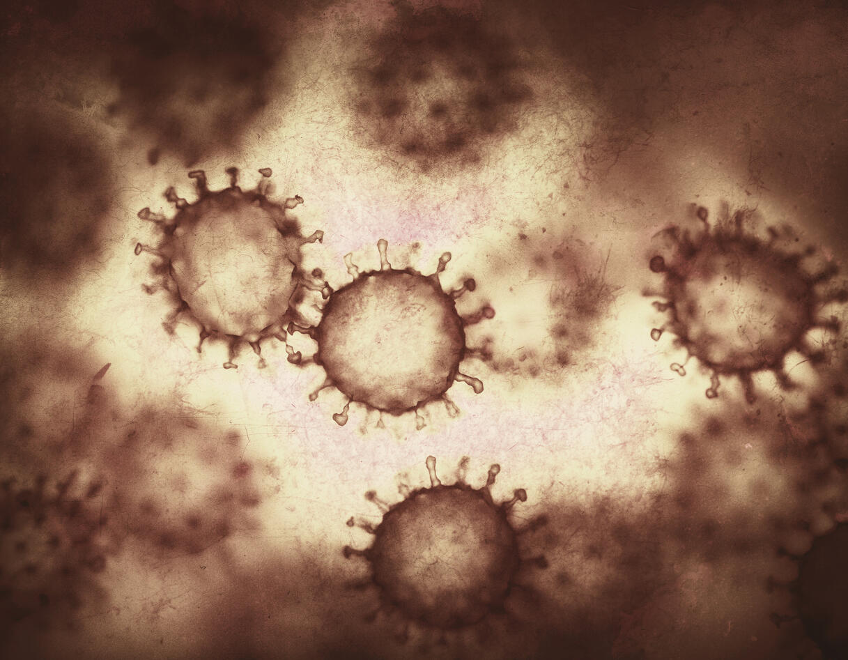 koronaviruset i mikroskop 