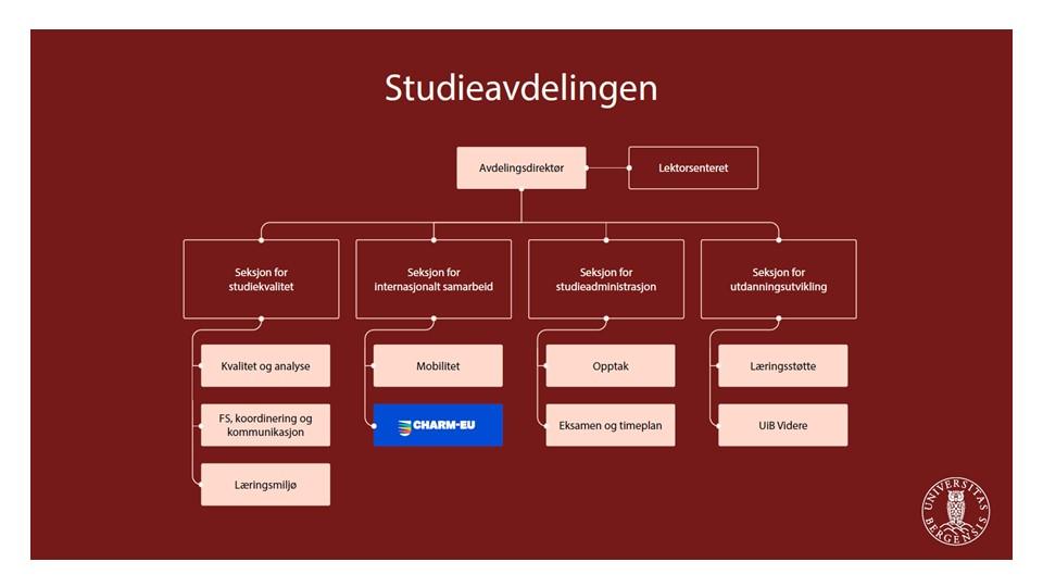 Bildet viser organisasjonskartet til Studieavdelingen.