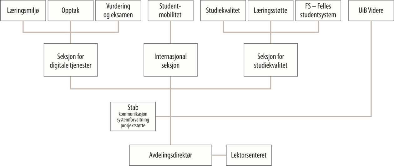 Organisasjonskart Studieavdelingen