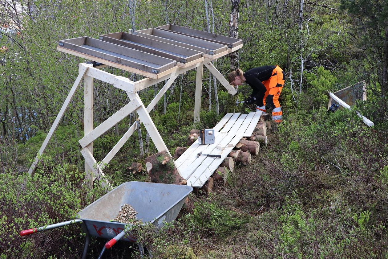 Sallbygge på lokalitet 11