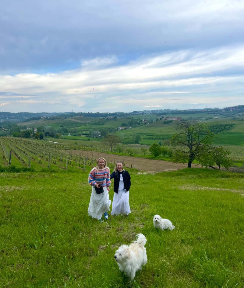 Studenter på vingård