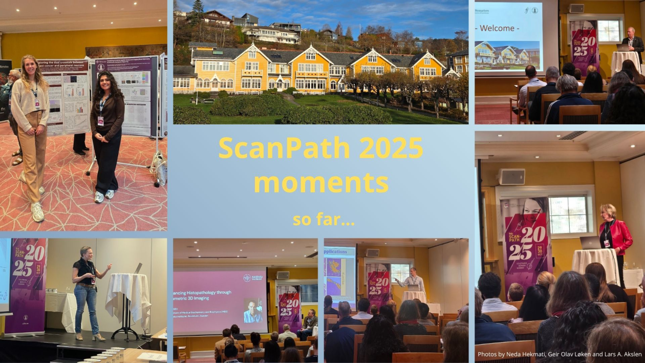 Collage of speakers, poster presenters and hotel at the ScanPath symposium.
