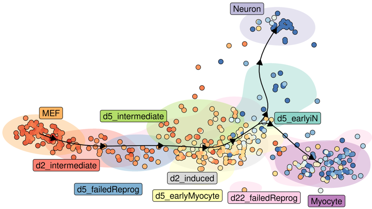 Novel machine learning challenges for modeling cell developmental dynamics