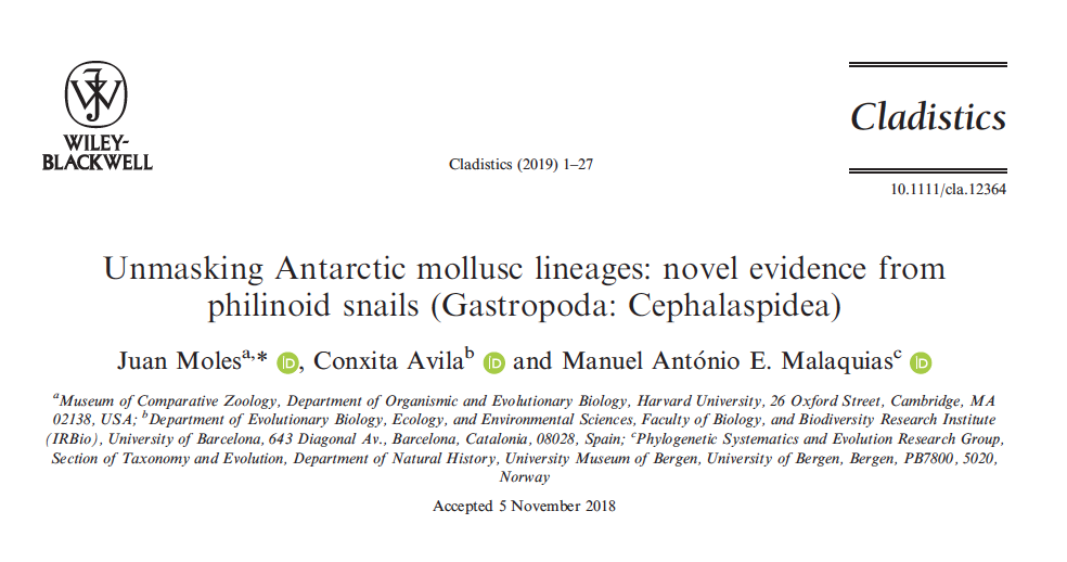 Unmasking Antarctic mollusc lineages: novel evidence from philinoid snails (Gastropoda: Cephalaspidea)