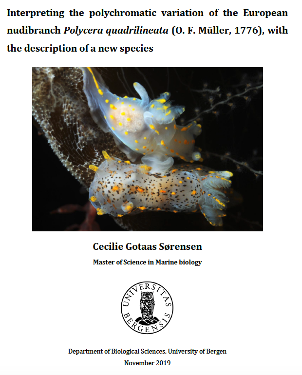 Cecilie Sørensen Thesis cover