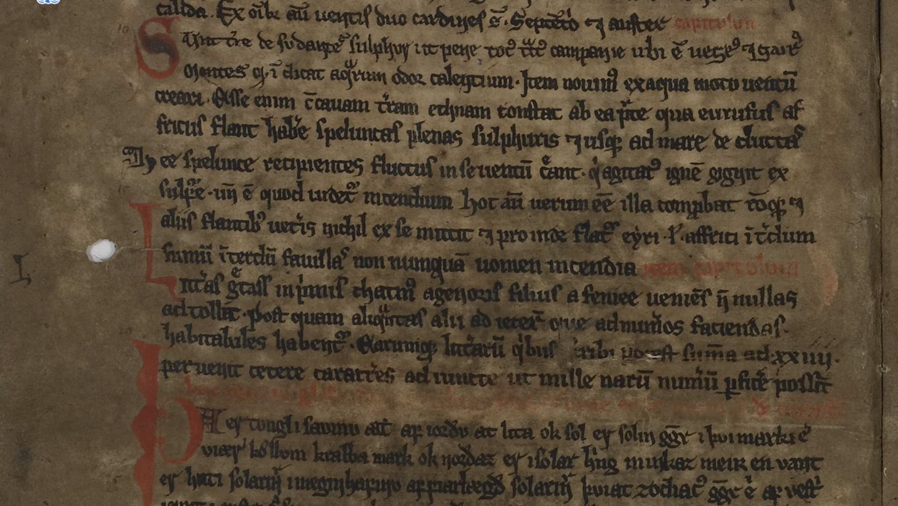 Manuscript AM 732 b 4to, 14th century