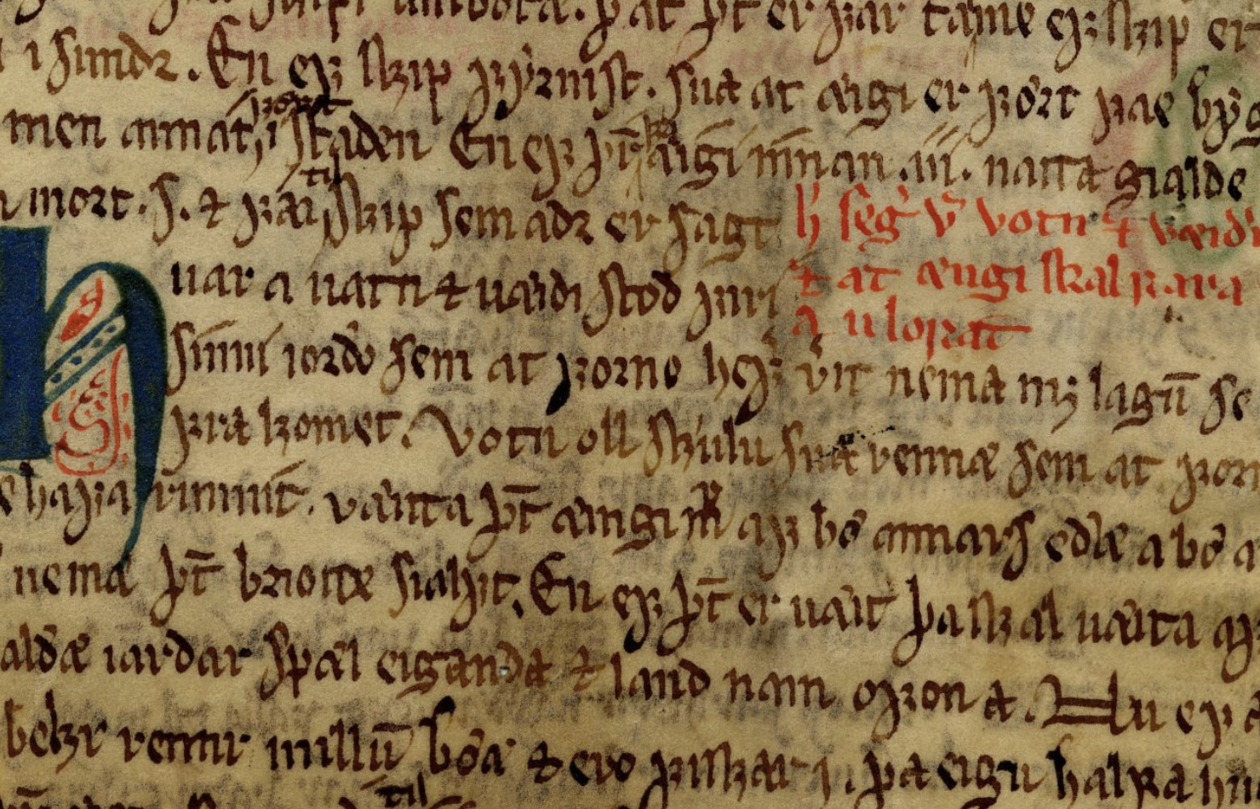 image of medieval law document