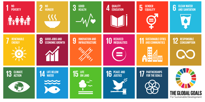 sustainable development goals