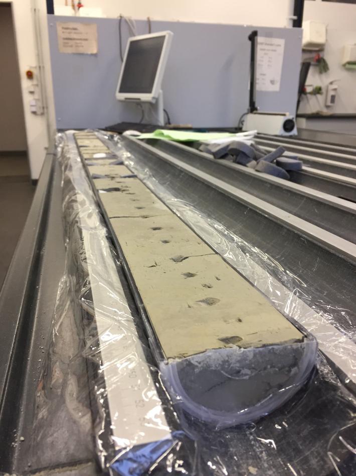 Sediment core in the lab