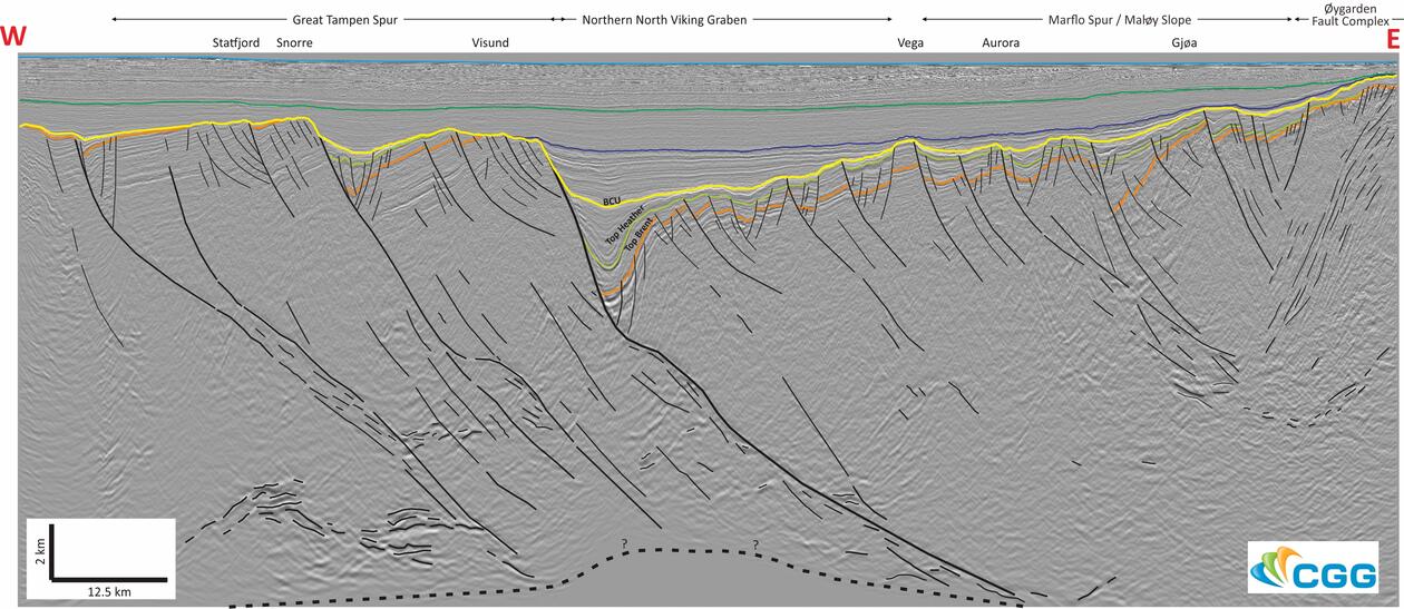 Seismic section