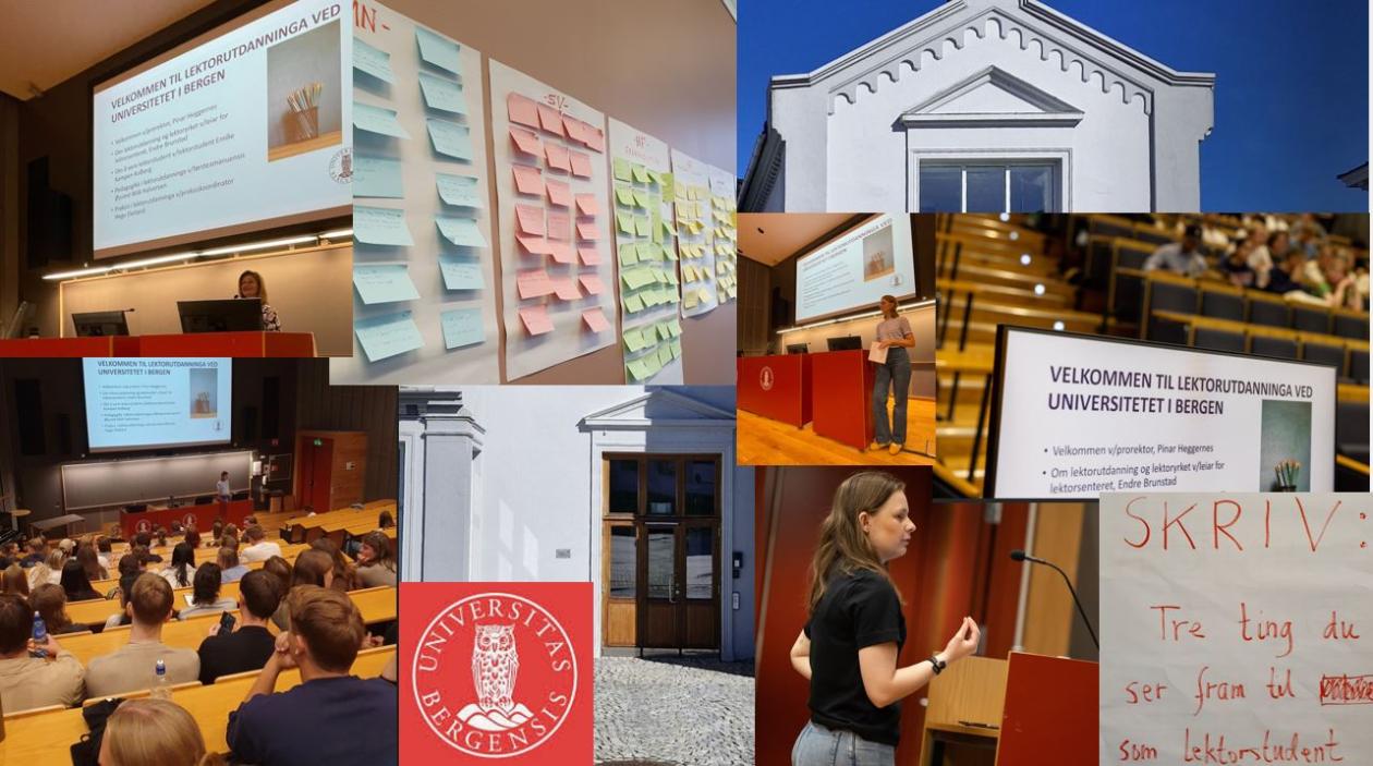 Ein collage av bileter frå studiestart med bl.a. postit lappar, studentambassadør, prorektor og studentar i Egget.