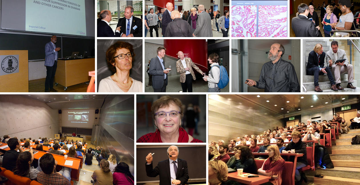 Collage of photos from the CCBIO seminars.