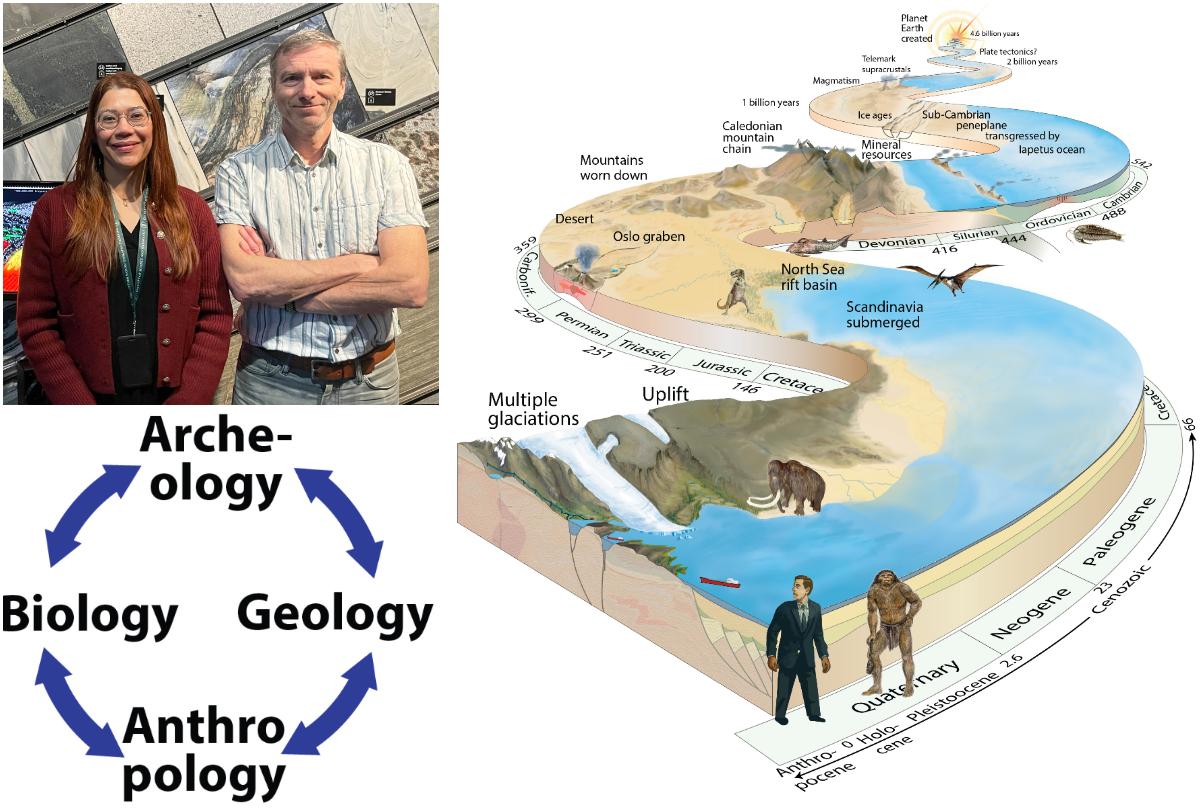 Foreslått SFF-senter
