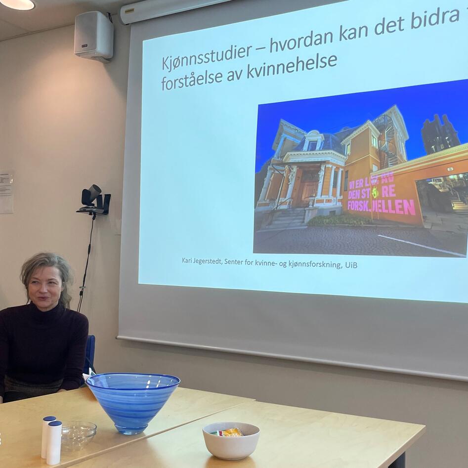 Bilde fra senterseminar 19.02.24